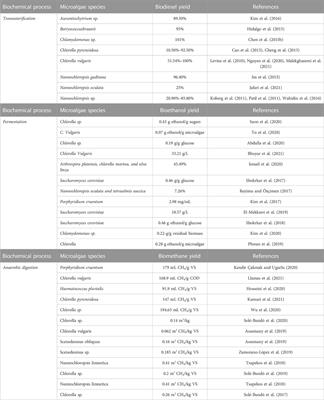 Conversion of algal biomass into renewable fuel: A mini review of chemical and biochemical processes